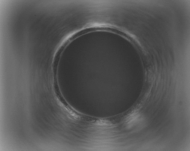 X0000065951319200603061114