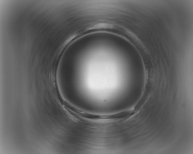 X0000065951321200603061114