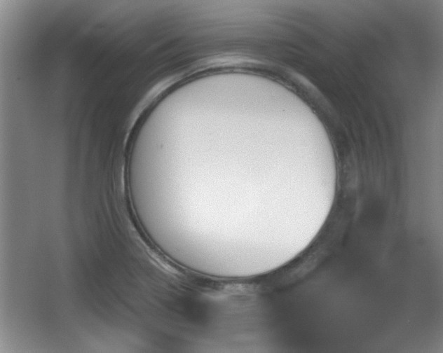 X0000065951322200603061114