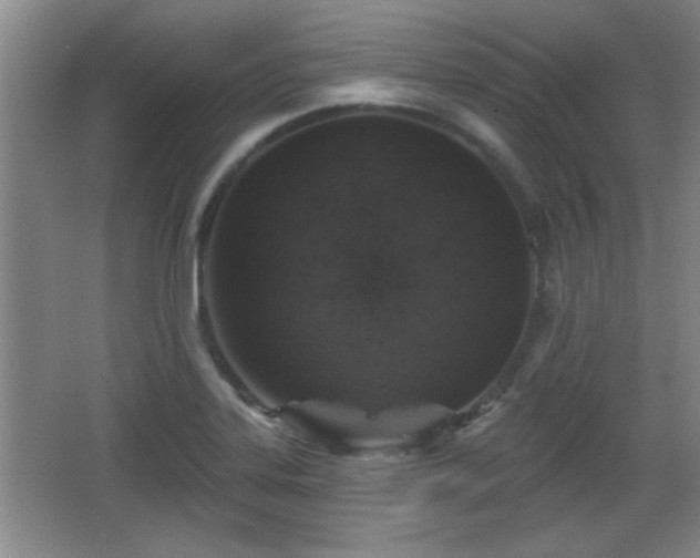 X0000065951323200603061114