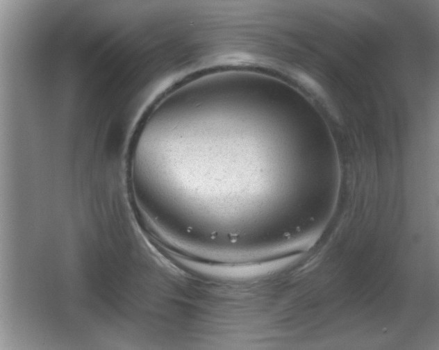 X0000065951326200603061114