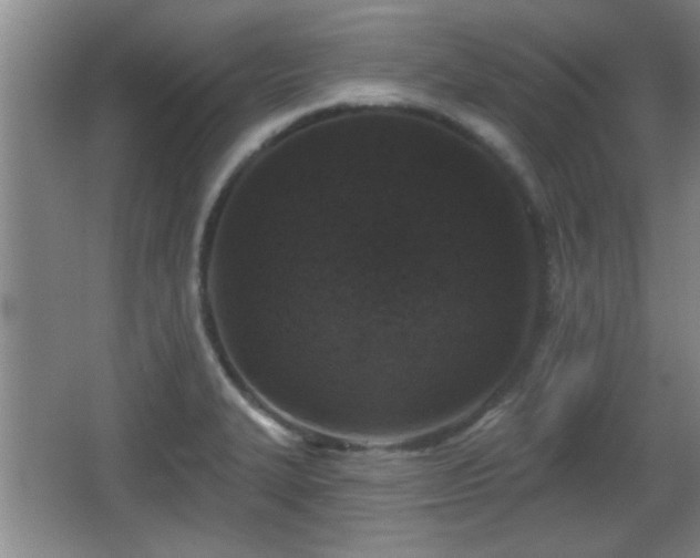 X0000065951327200603061114