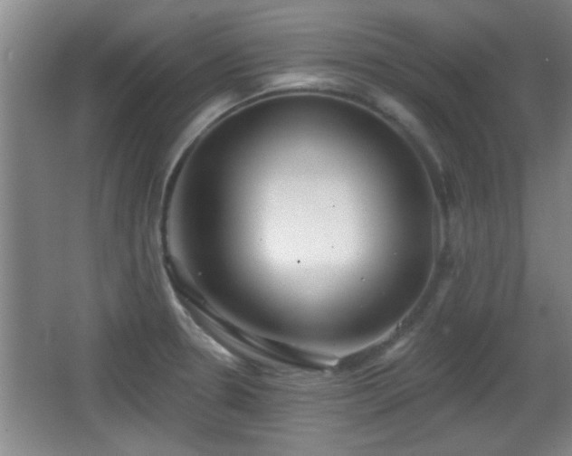 X0000065951330200603061114