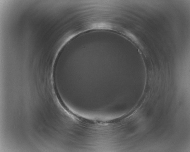 X0000065951331200603061114