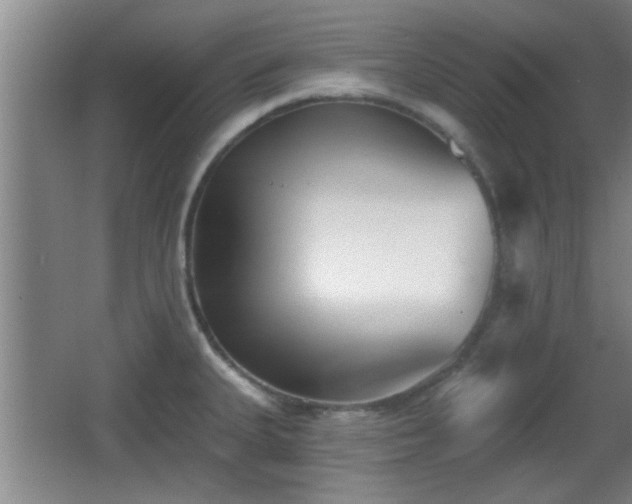 X0000065951335200603061114