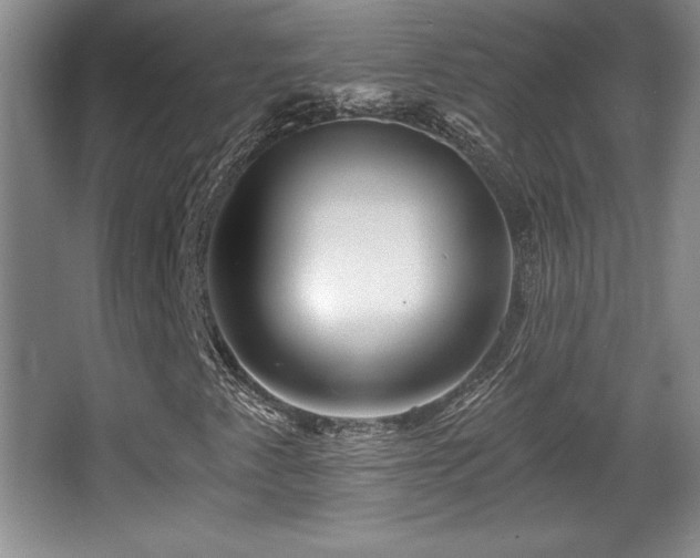 X0000065951345200603061114
