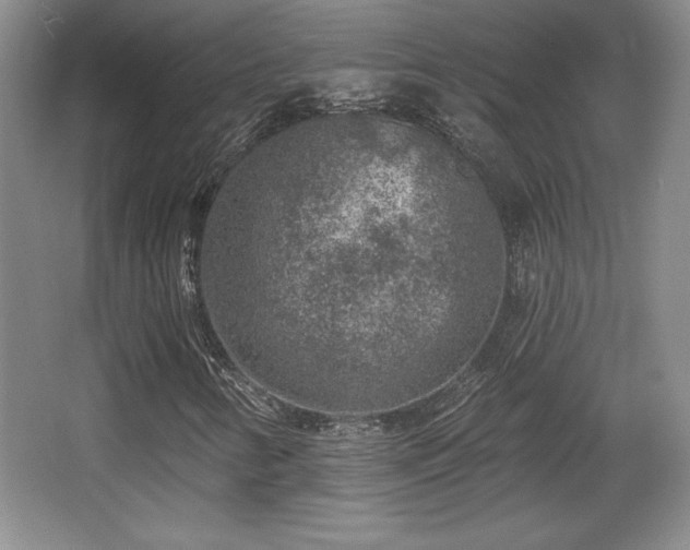 X0000065951346200603061114
