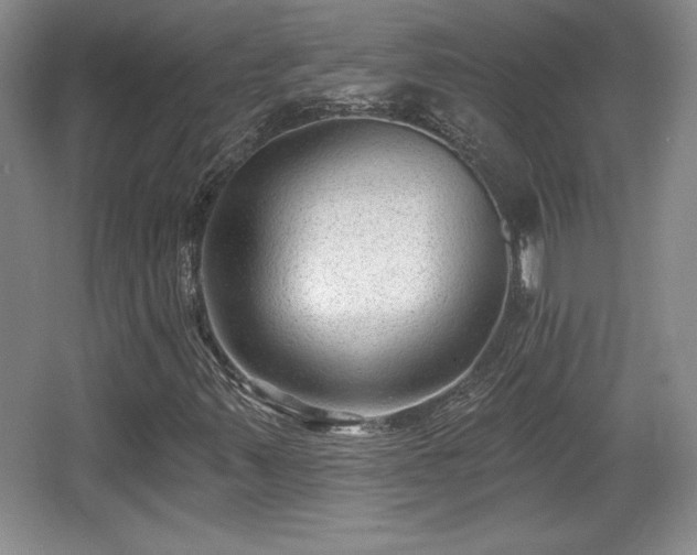 X0000065951347200603061114