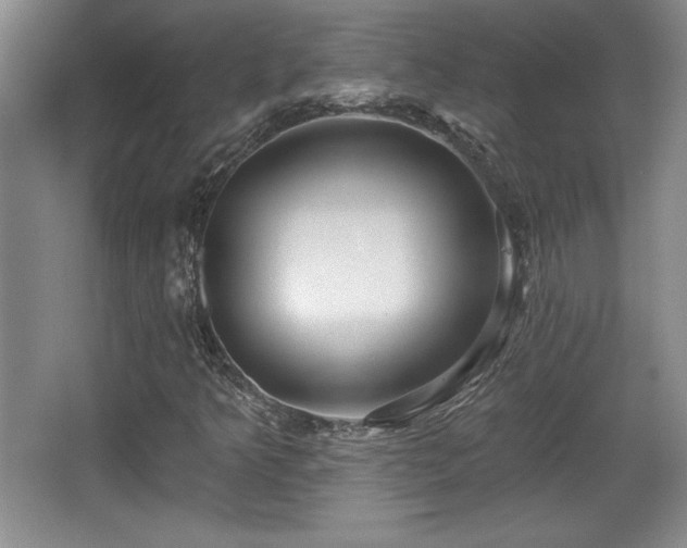 X0000065951349200603061114