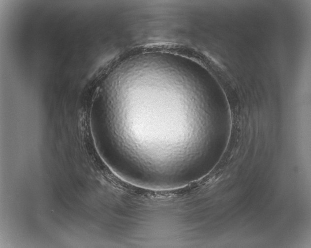 X0000065951351200603061114