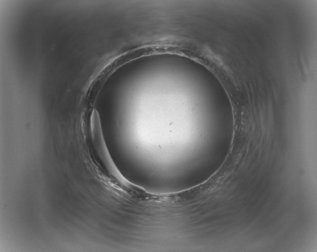 X0000065951352200603061114
