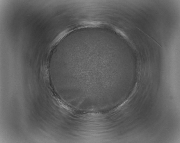 X0000065951354200603061113