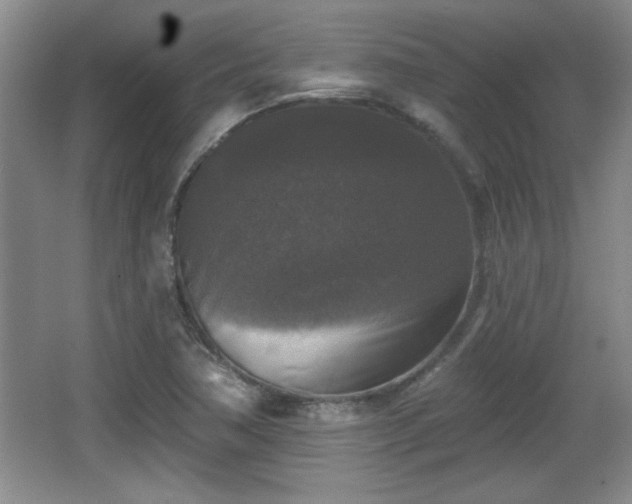 X0000065951362200603061113