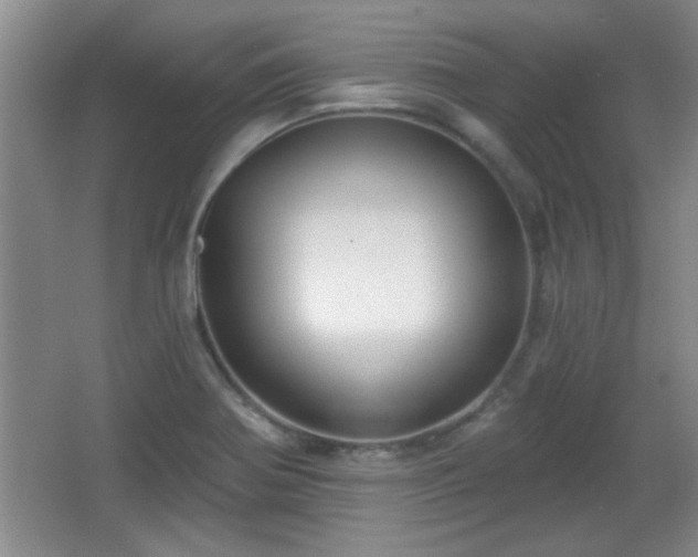 X0000065951370200603061113