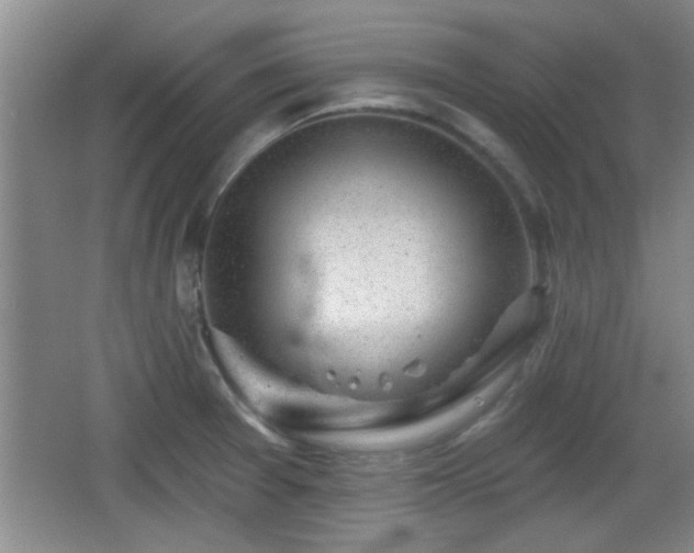 X0000065951377200603061113