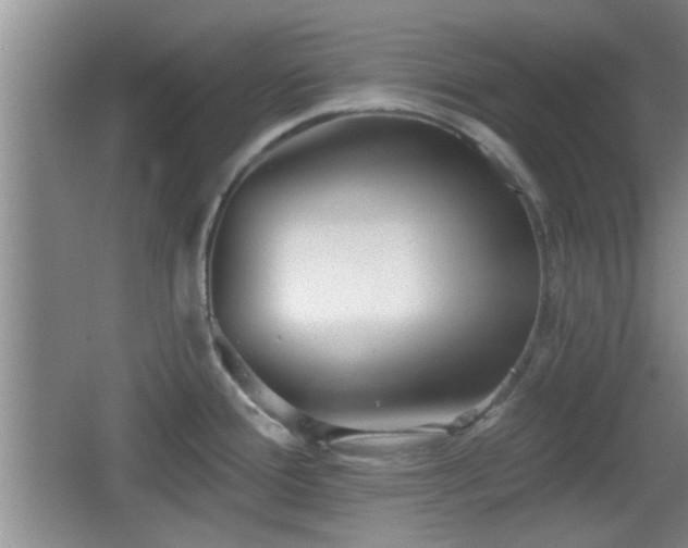 X0000065951388200603061113