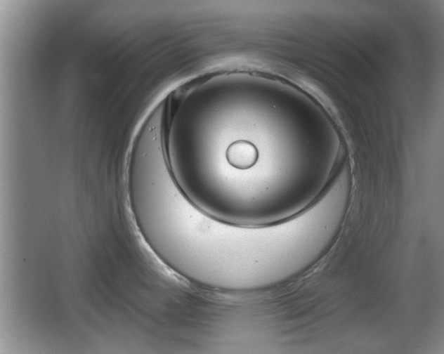 X0000065951392200603061113