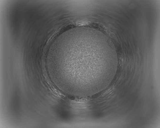 X0000065951393200603061112