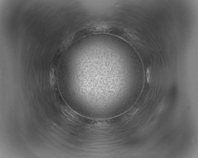 X0000065951395200603061112