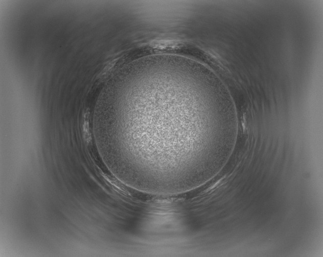 X0000065951396200603061112