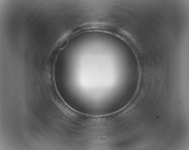 X0000065951403200603061112