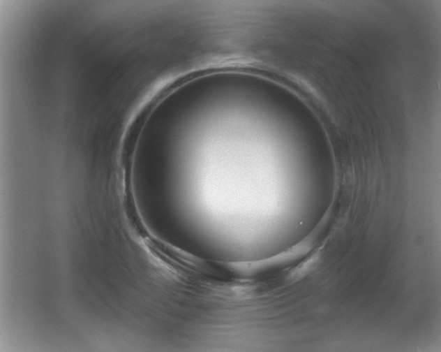 X0000065951414200603061112