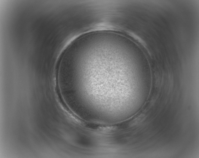 X0000065951415200603061112