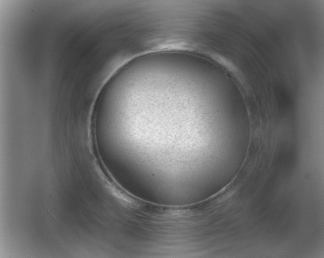 X0000065951423200603061113
