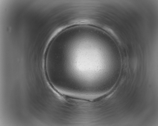 X0000065951424200603061113