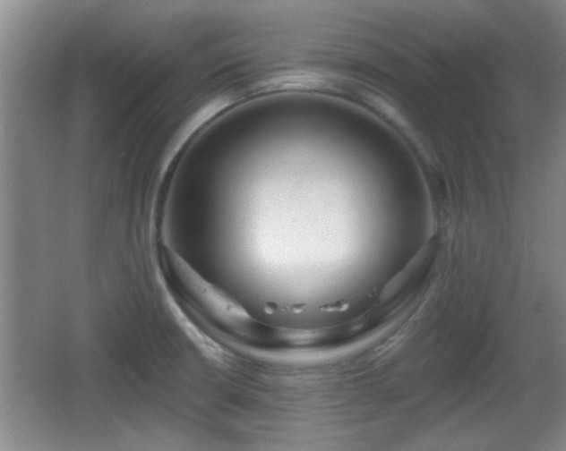 X0000065951426200603061113