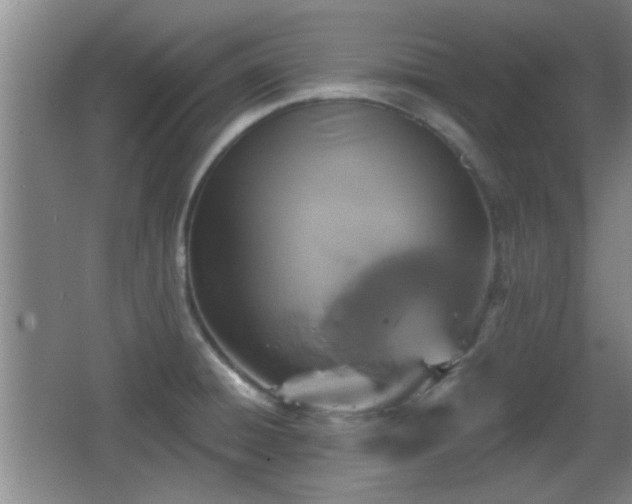 X0000065951428200603061113