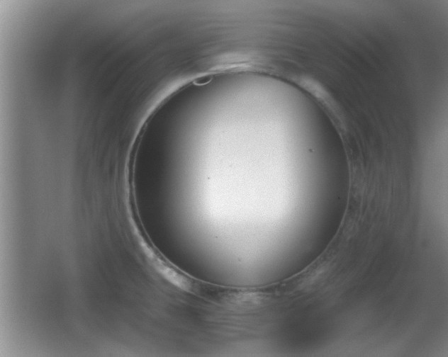 X0000065951431200603061113