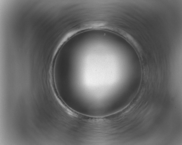 X0000065951432200603061113