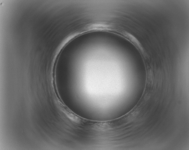 X0000065951435200603061113