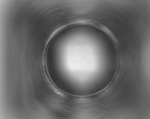 X0000065951436200603061113