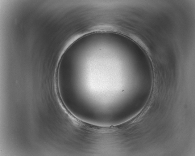 X0000065951440200603061113