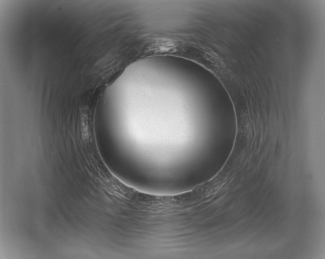X0000065951442200603061112
