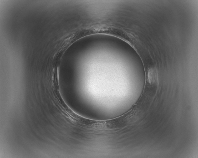 X0000065951444200603061112