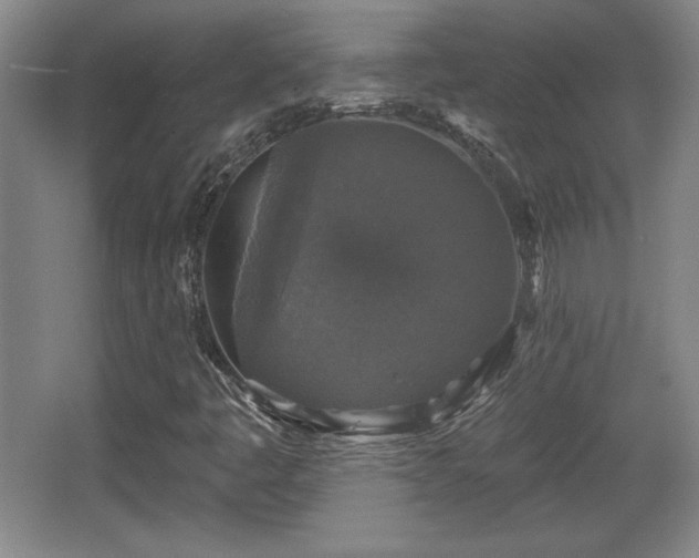 X0000065951445200603061112