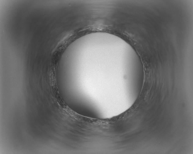 X0000065951446200603061112