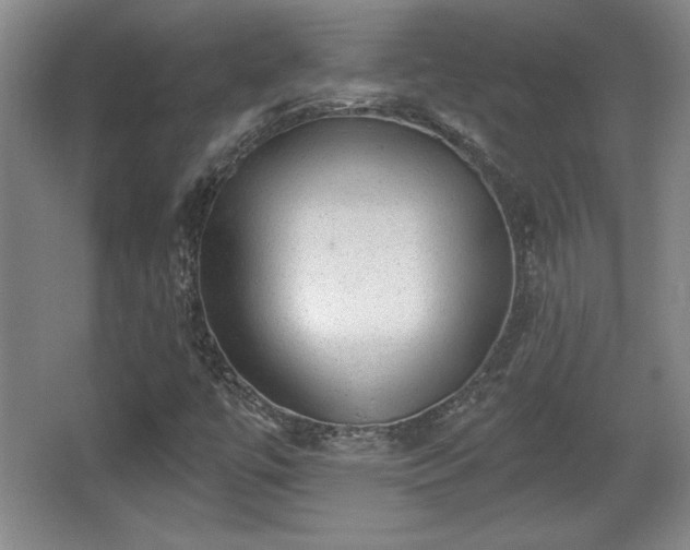 X0000065951447200603061112