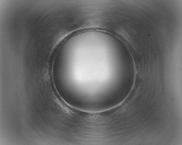 X0000065951452200603061112