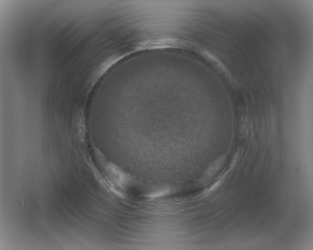 X0000065951457200603061112