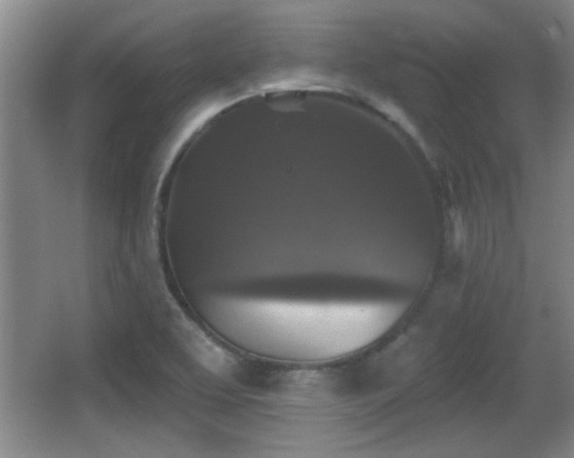 X0000065951463200603061112