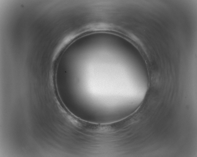 X0000065951464200603061112