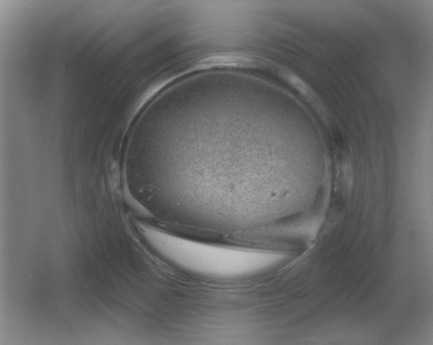X0000065951465200603061112