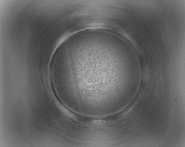 X0000065951467200603061112