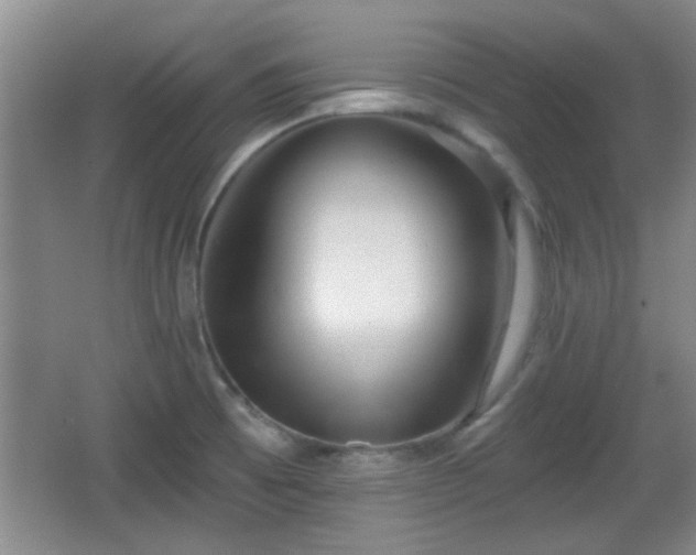 X0000065951473200603061111