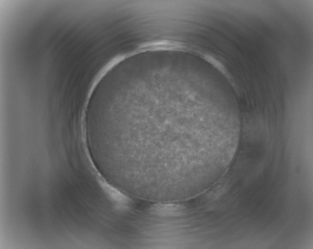 X0000065951474200603061111