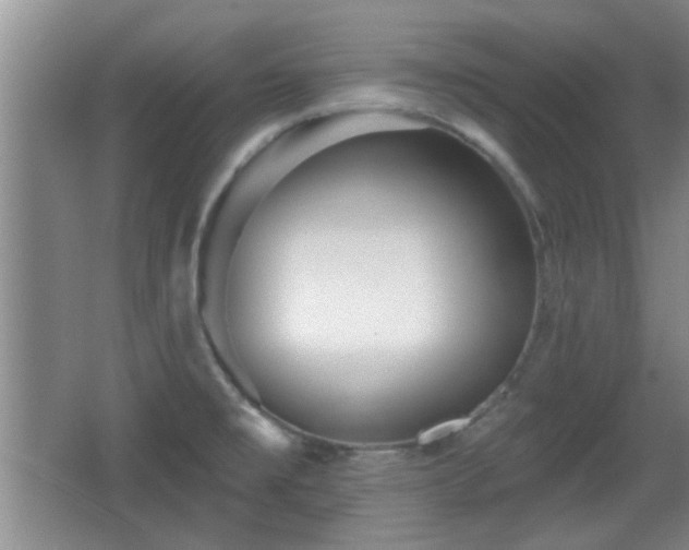 X0000065951477200603061111